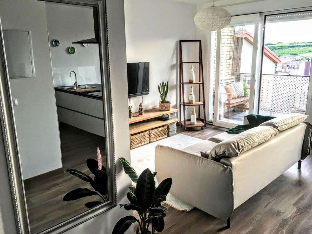 Apartamento Gaztainondoak Lanciego 외부 사진